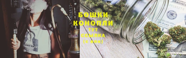 индика Покров