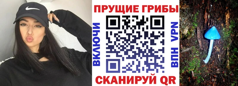 Галлюциногенные грибы MAGIC MUSHROOMS  Купить закладки  Искитим 